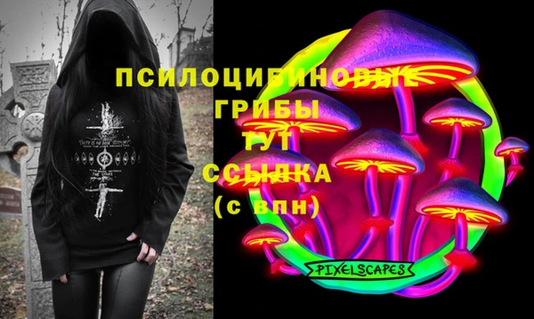 a pvp Аркадак