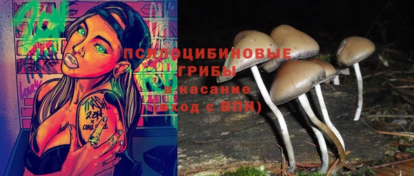 a pvp Аркадак