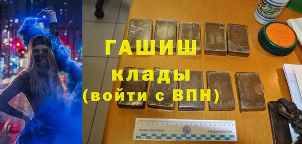 хмурый Алексин