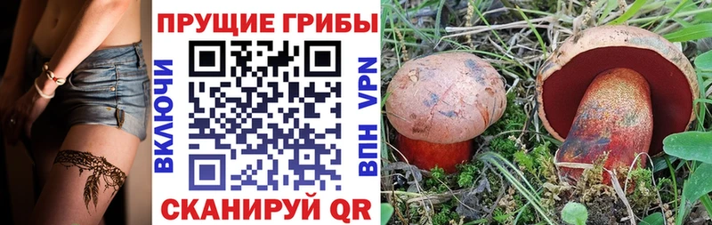 mega ССЫЛКА  Данков  Галлюциногенные грибы Psilocybine cubensis 